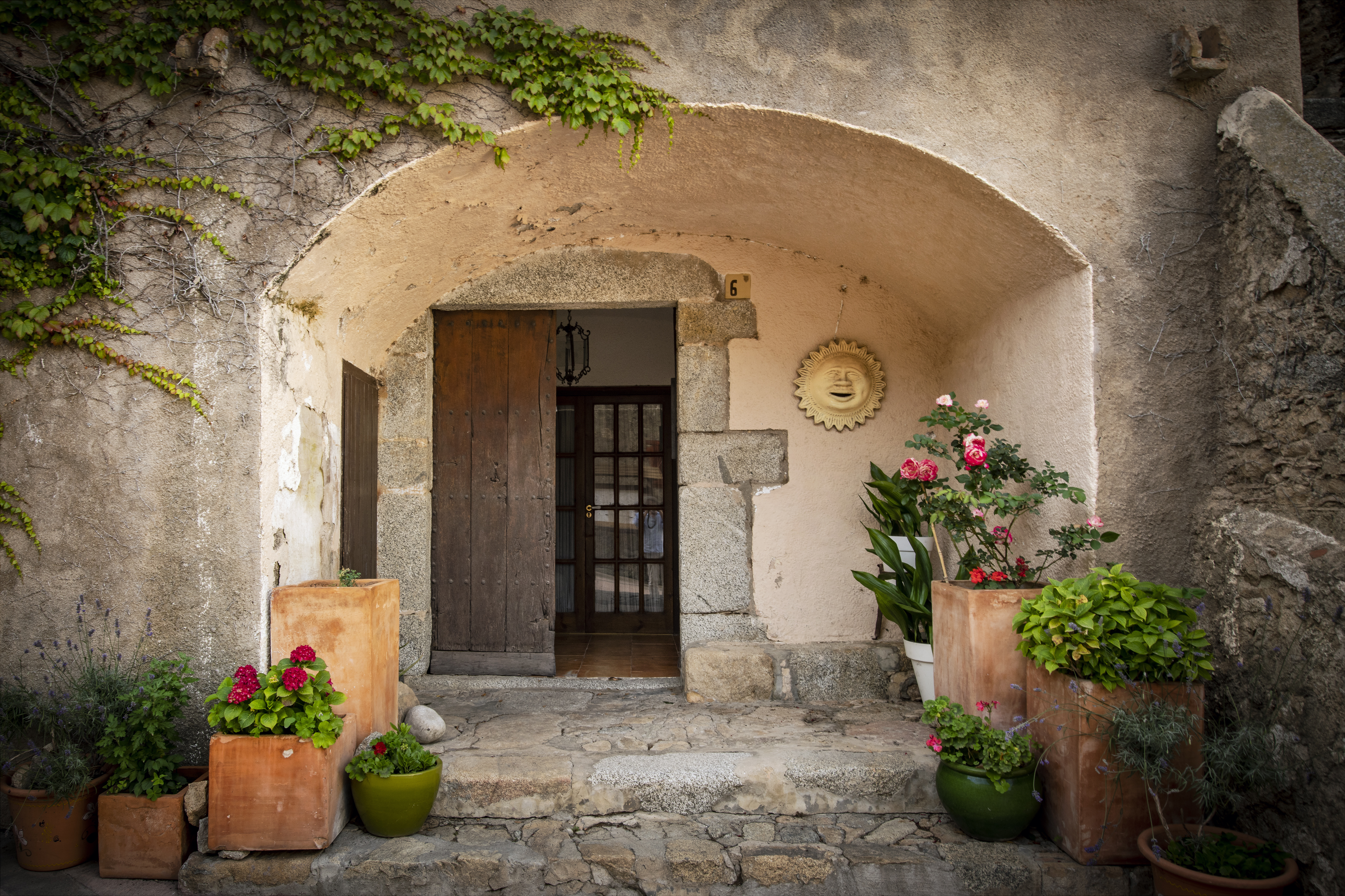 Bolets, Fira, Bosc, Alt Empordà, Castanya